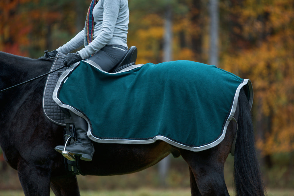 Pony shop rider blanket