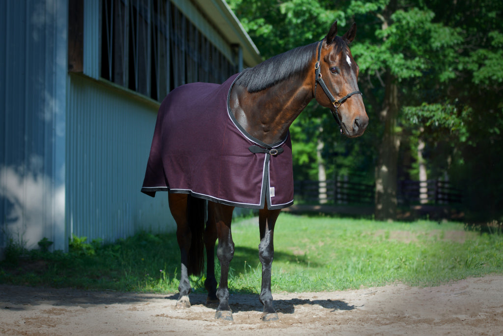 The Hawthorne Wool Dress Sheet – Saratoga Horseworks