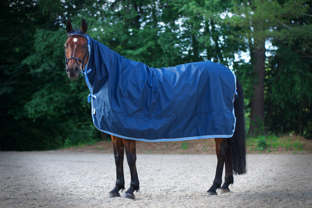 ＜RAINMAKER＞BLANKET MANTLE Amazon.com: Reinsman Classic Turnout Winter Warm Horse Blanket