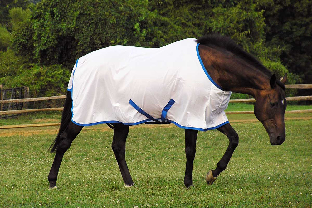Saratoga UV Protection Horse Sheet 