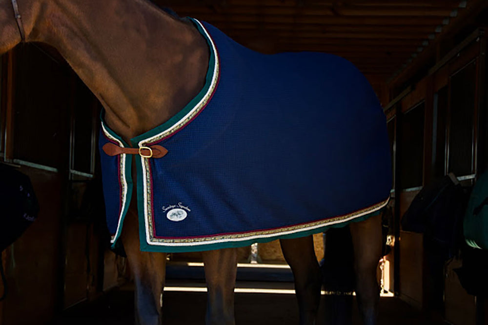 Personalized Horse Blankets