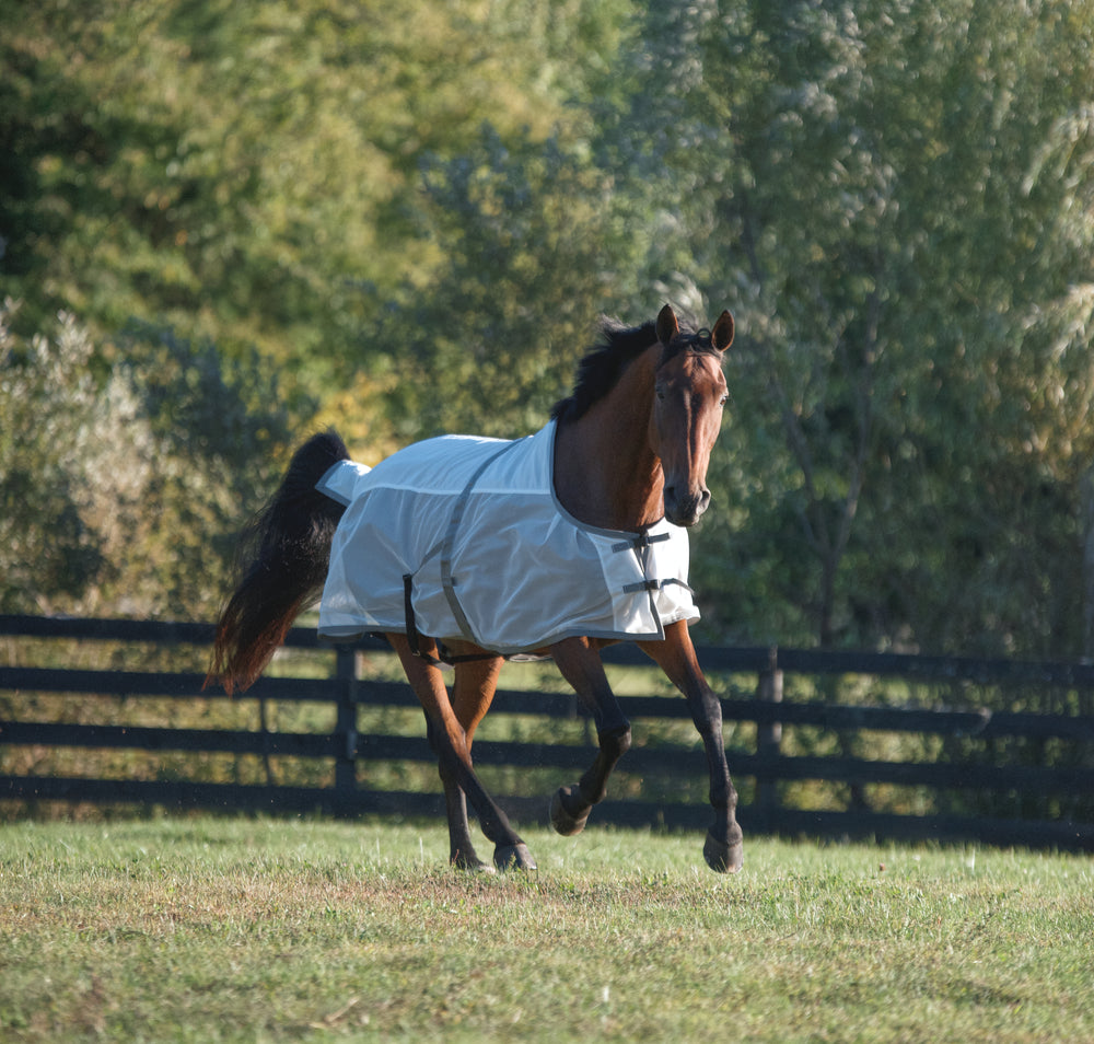 Saratoga Plus Summer Turnout SZ 80