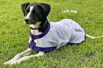 Dog Clothing Embroidered Names