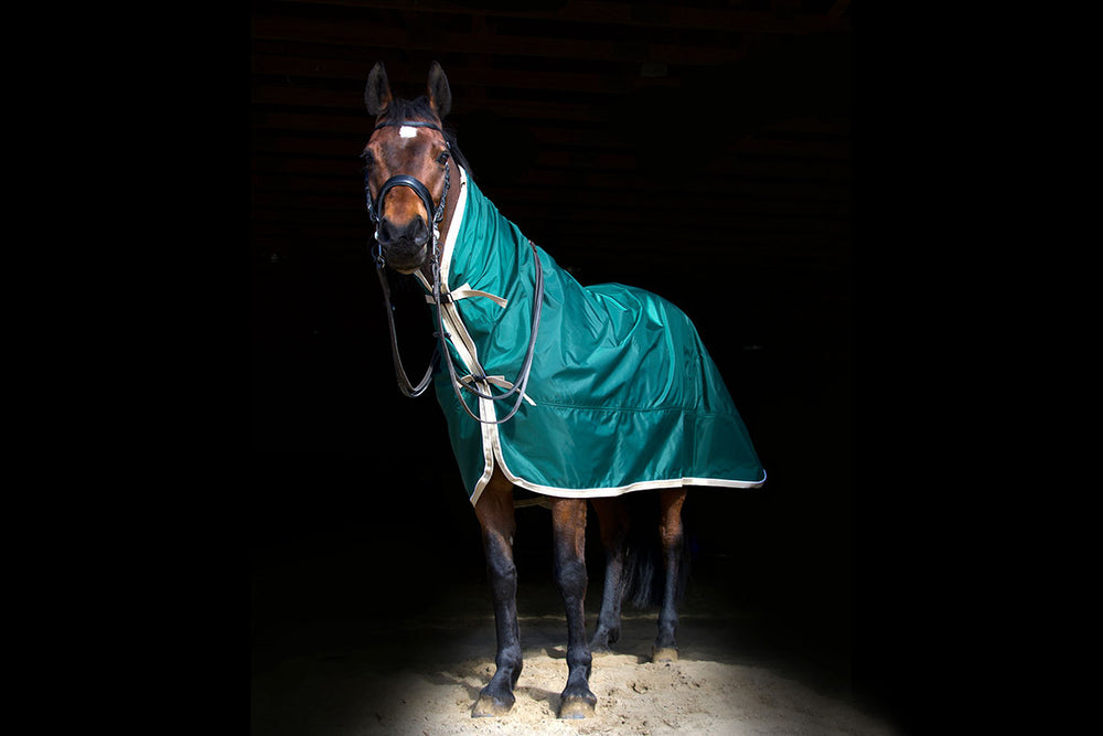 Personalized Rain Sheet For Horses