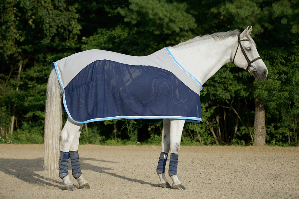 Breathable Dress Sheet for Horse Shows