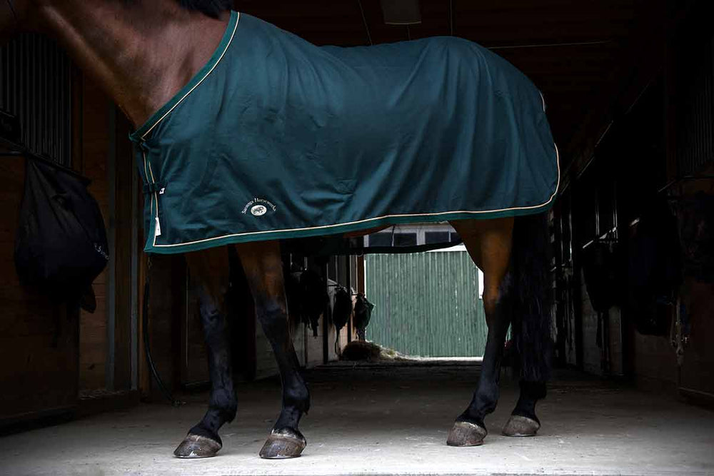 Personalized Horse Scrim Sheet