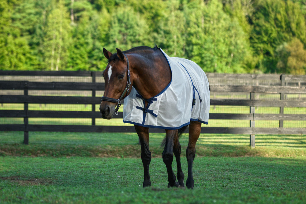 Irregular Saratoga Summer Turnout