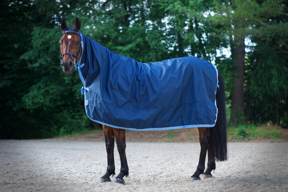 Rain Sheet Horse