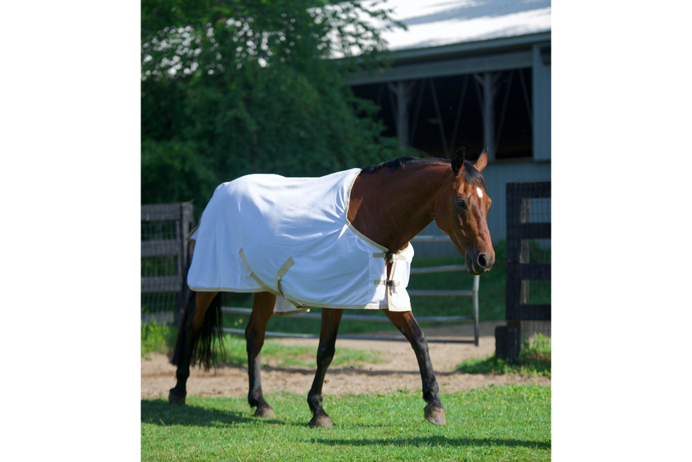 Personalized UV Fly Sheets for horses