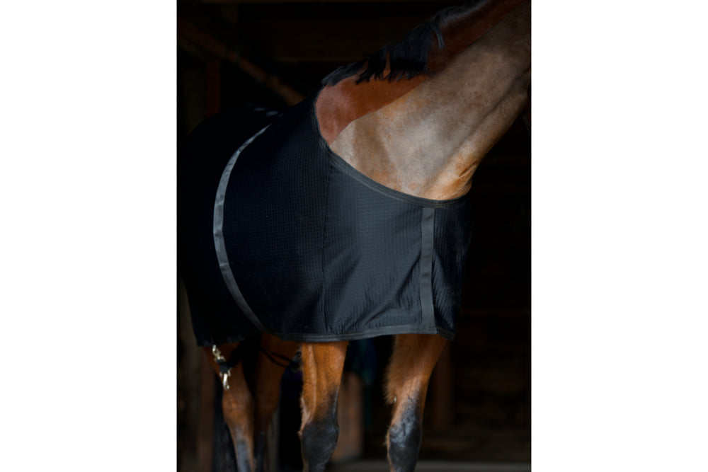 stable blanket for horses