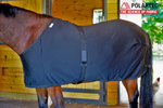 blanket liner for horses
