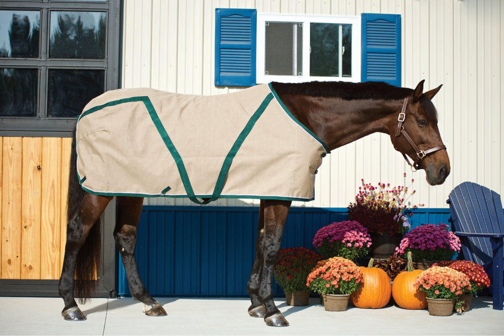 custom horse blanket