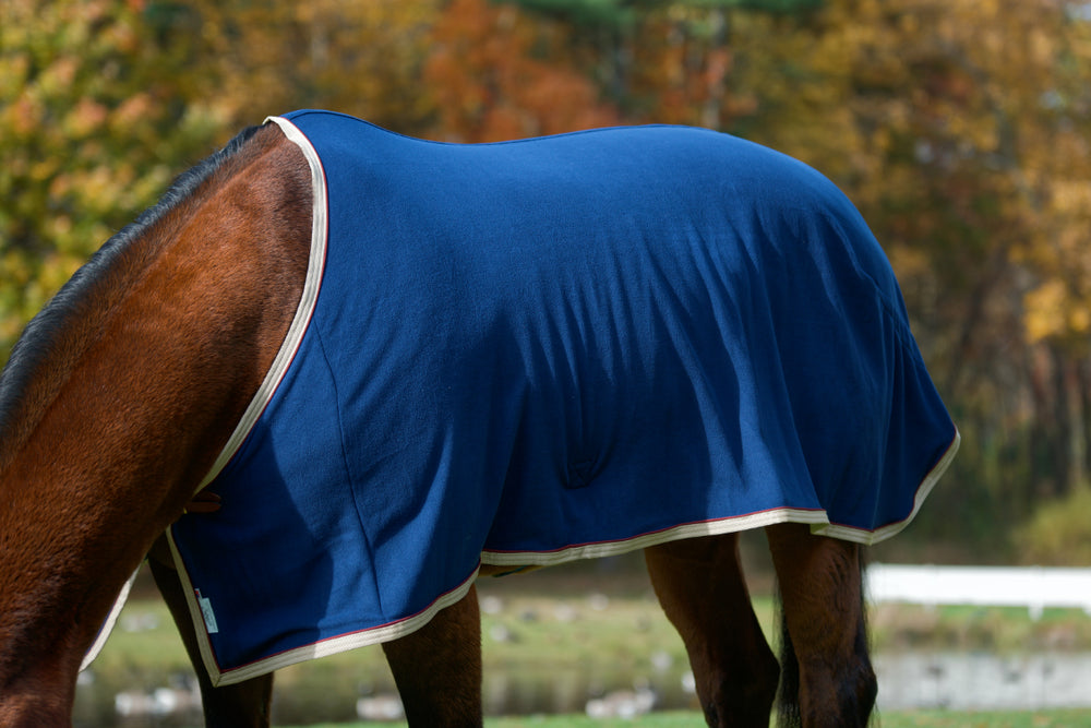 Personalized Horse Blanket