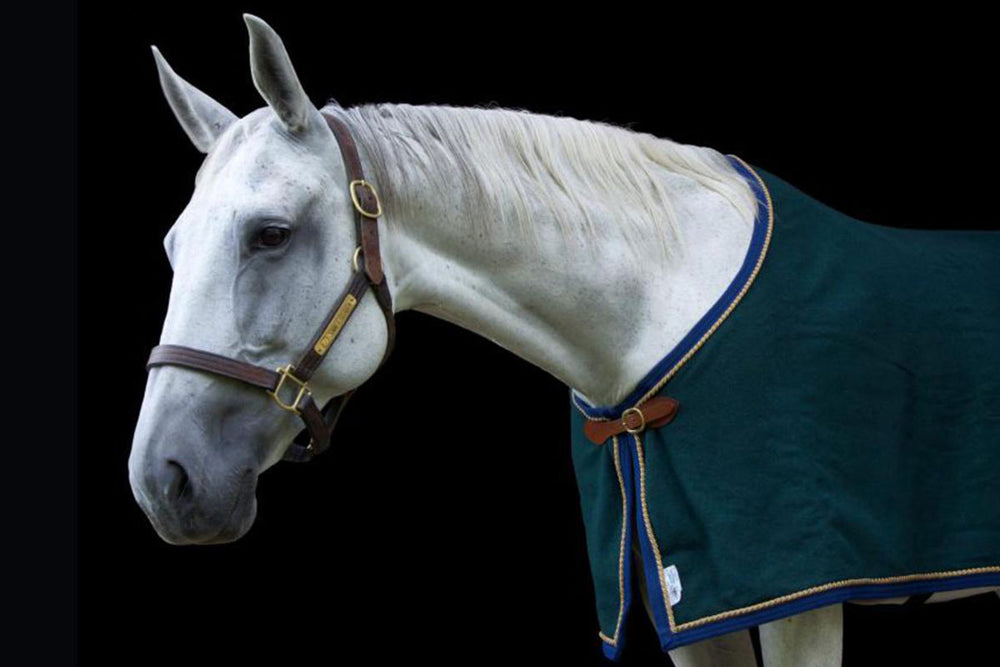 Custom Horse Blanket