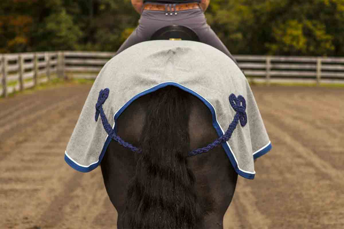 https://www.horseworks.com/cdn/shop/products/Wool-Blend-Exercise-Blanket-back-WEB_2000x2000.jpg?v=1548947291