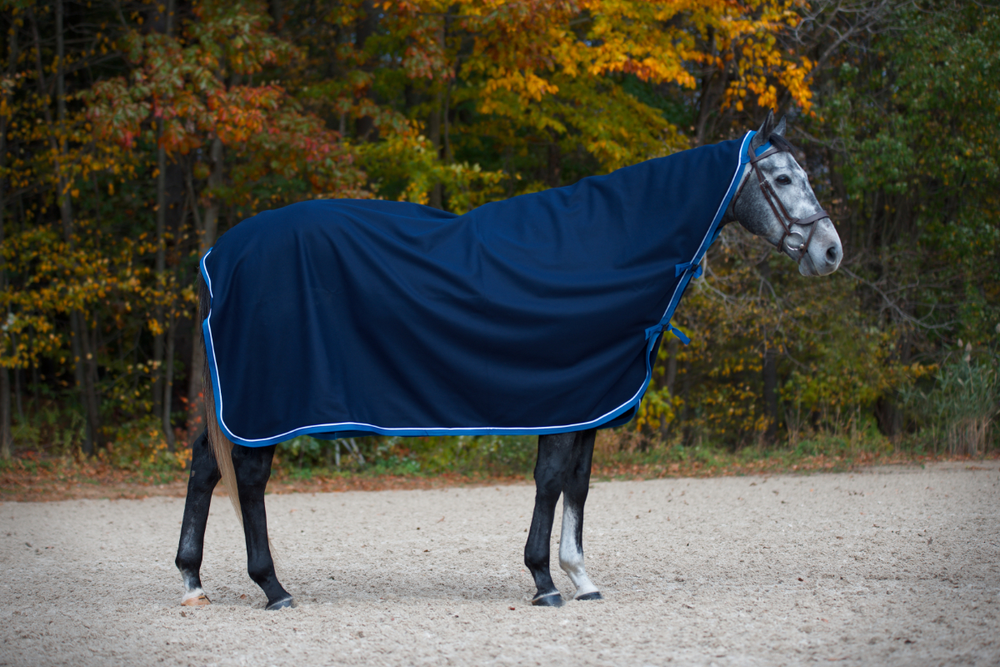 horse blanket research ジャガード ジャカード ブルー Country Pride horse blanket research ジャガード ジャカード ブルー Country Pride